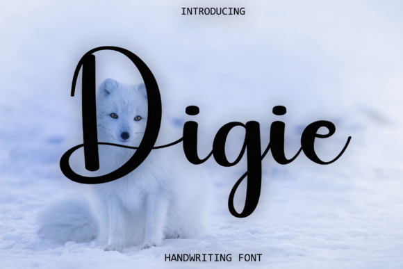 Digie: The Whimsical Script Typeface for Elevated Brand Identity
