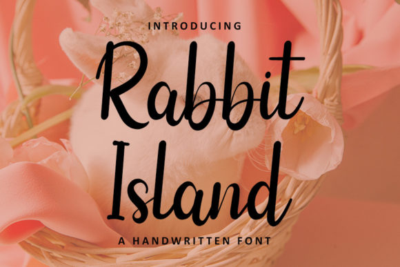 Rabbit Island: The Perfect Handwritten Font for Crafters and Sellers