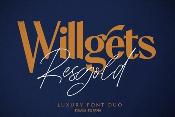 Resgold Willgets: The Premium Typeface for Modern Web Design