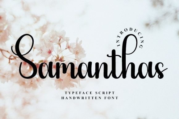 Samanthas: A Designer's Honest Review for Real Projects