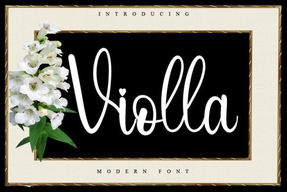 Violla: The Script Amp Typeface for Modern Brand Identity